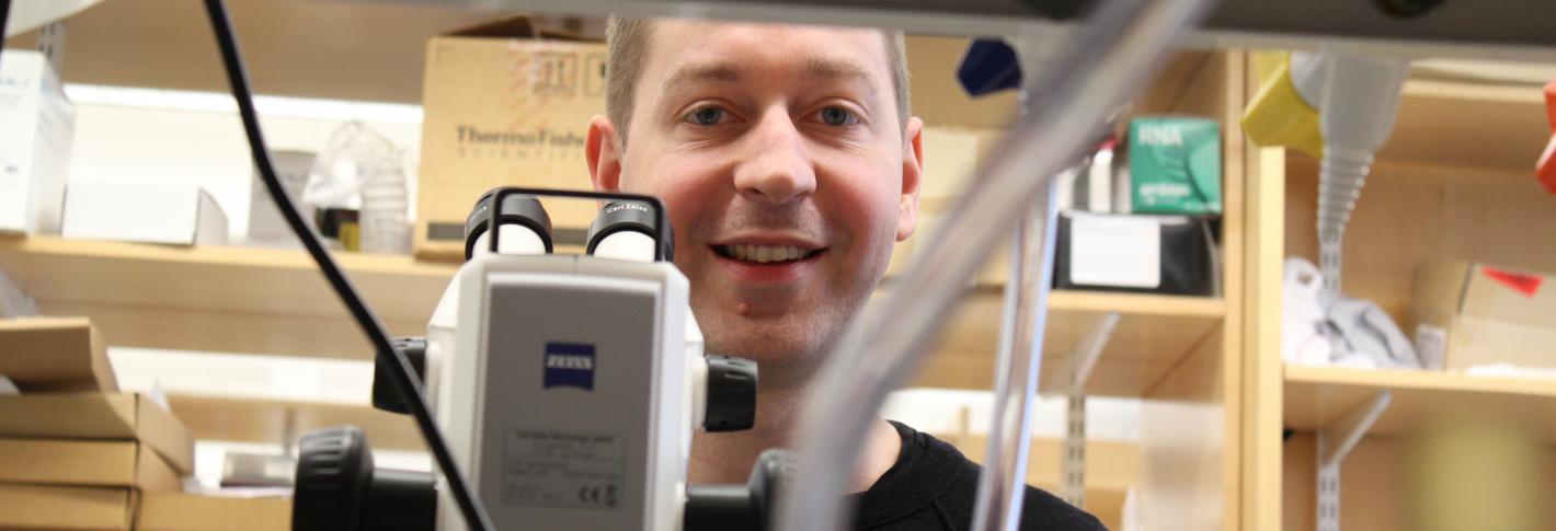 Steve Flavell looks up from a microscope in his lab and smiles