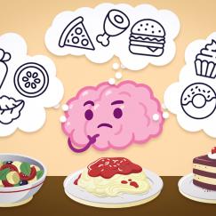 A cartoon of a brain viewing a three course meal and remembering similar past experiences