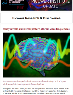E-news screenshot features a glowing pink brain surrounded by thick neon brainwaves moving across it.