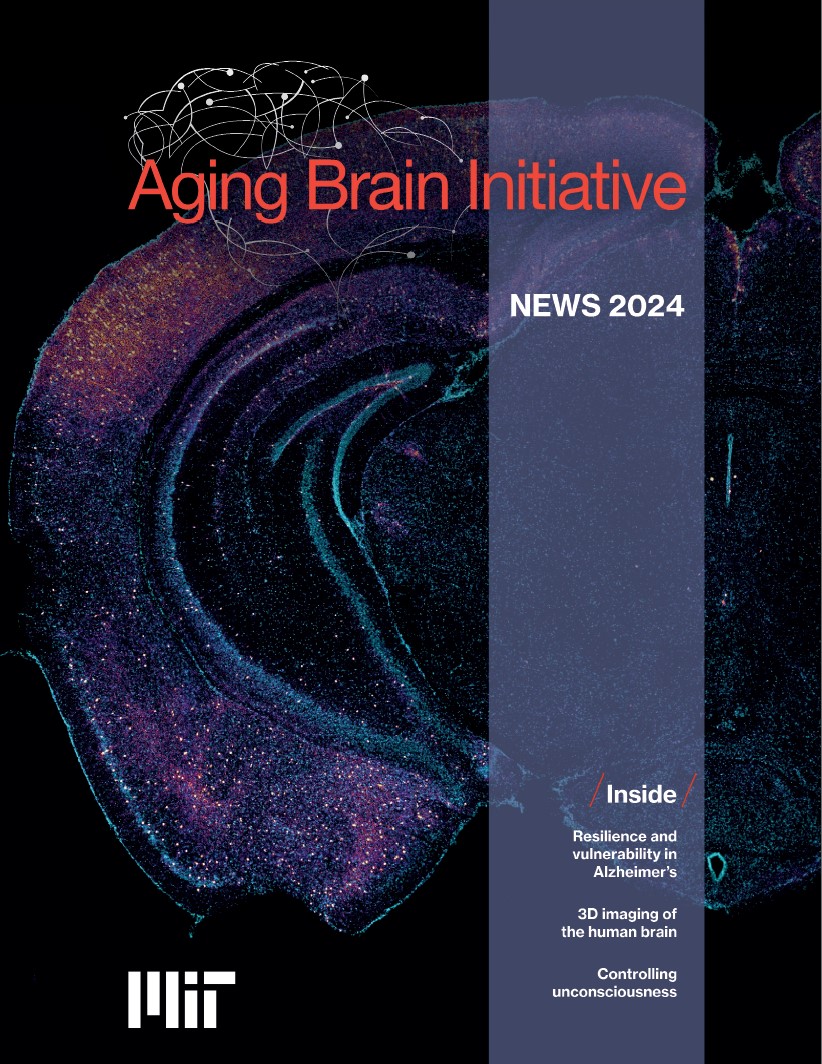 The cover of the 2024 ABI Newsletter features a coronal cross section of a mouse brain stained with magenta specks atop a blue background. The magenta specks are mostly at the top on the right side.