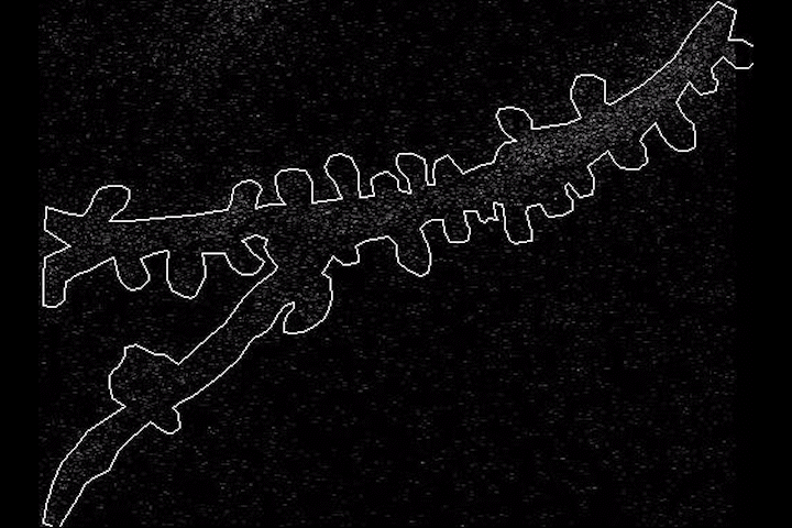 the white outline of a dendrite branch stretches horizontally across a black background. The dendrite then fills in with tiny white dots in a flash of light