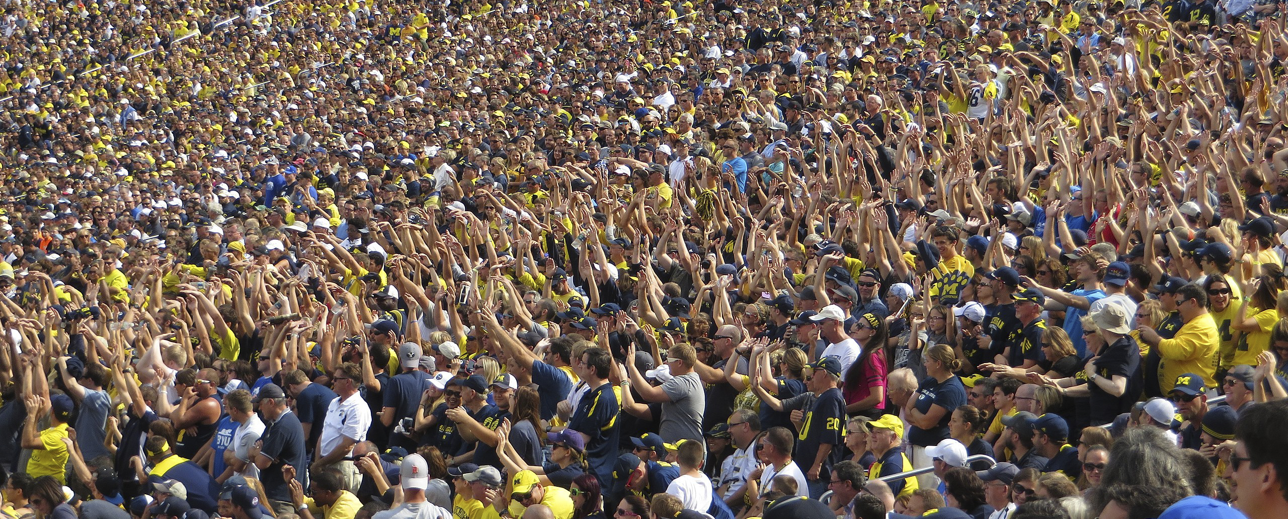 A picture of a stadium crowd shows a stripe of fans all standing at the same time creating "the wave"