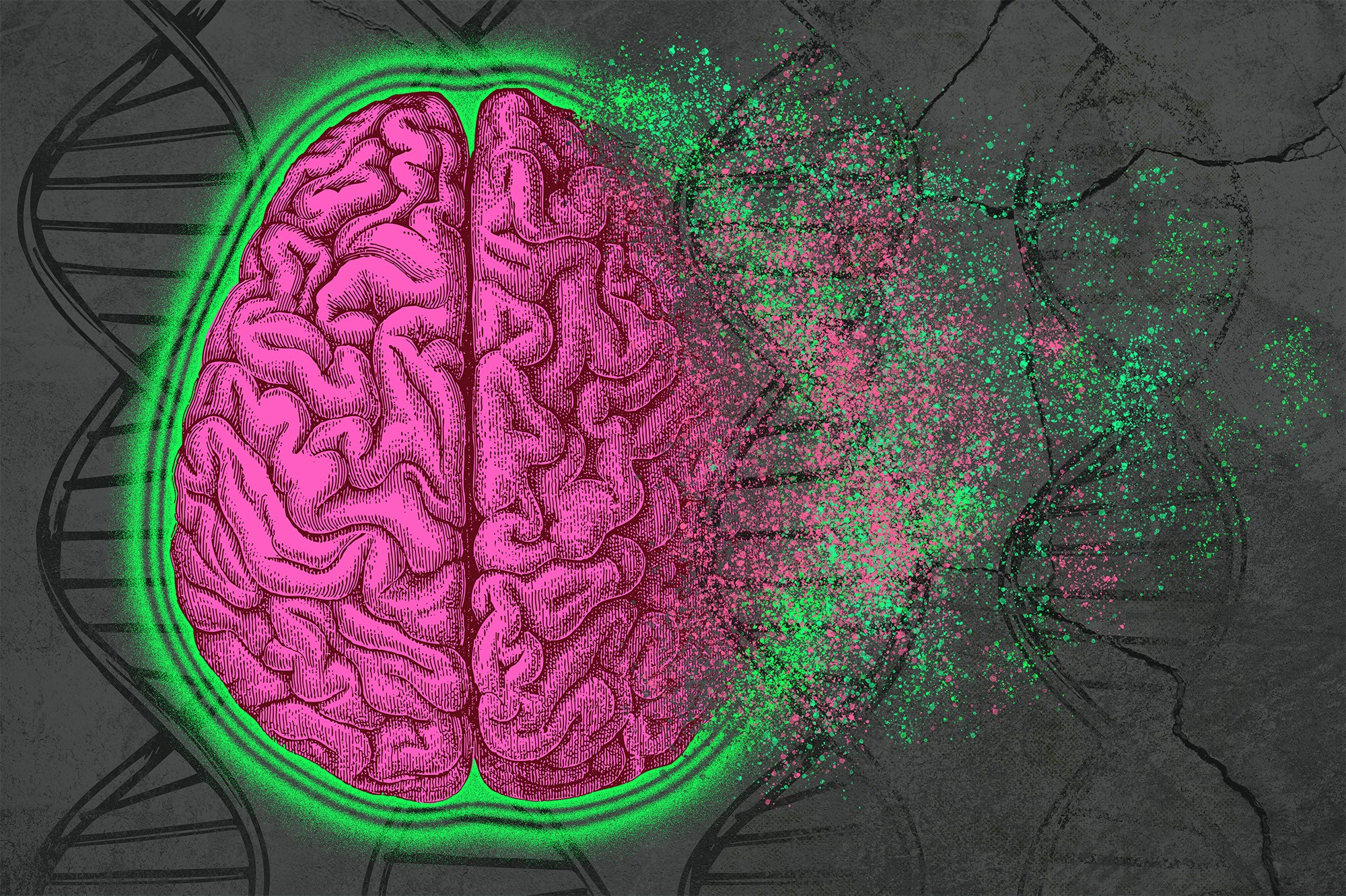 A pink cartoon brain seems to be crumbling to dust on its right side. The dust blows away. In the background are DNA double helixes. On the right side there are cracks indicating the deterioration of the DNA.