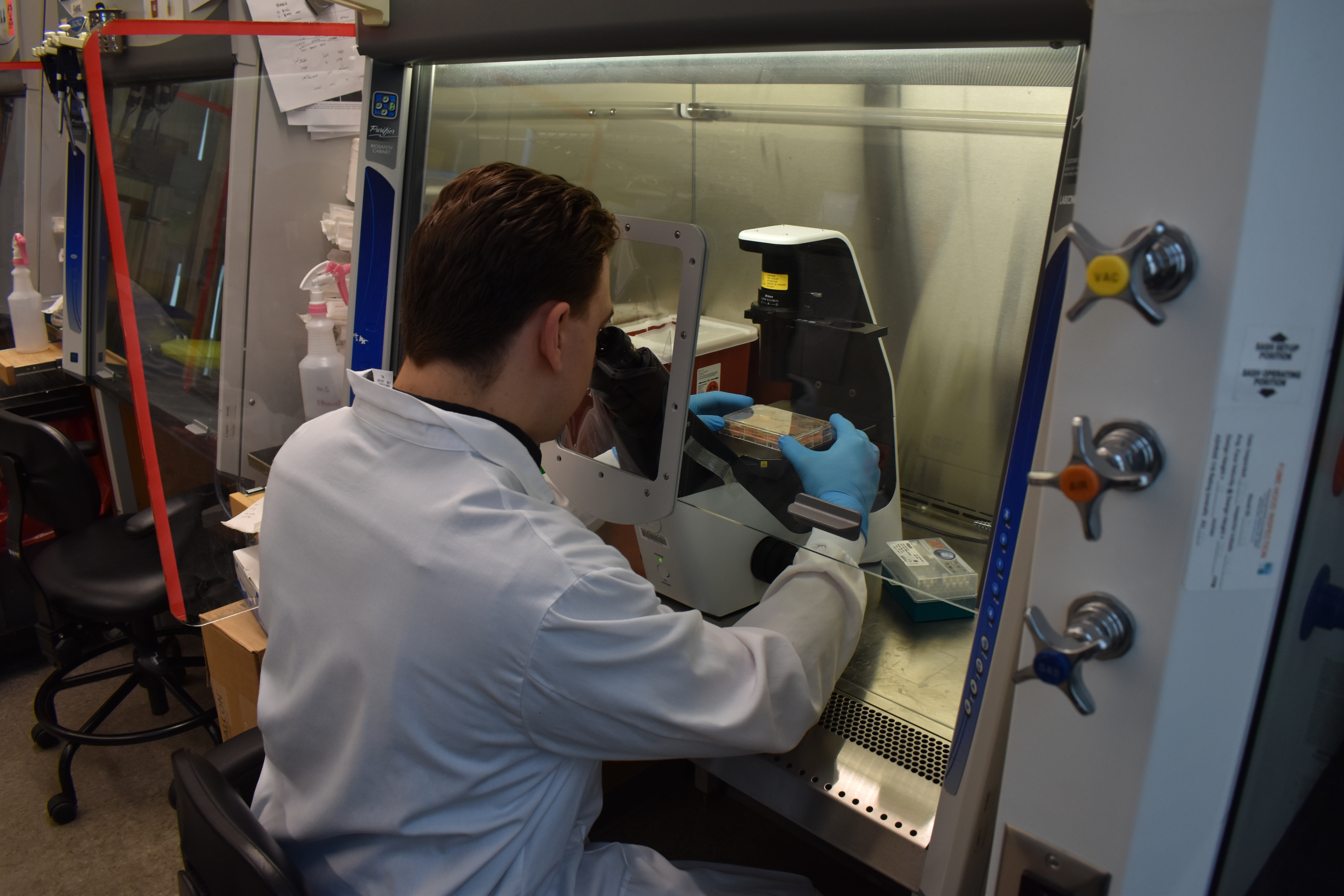 Jonathan Palmiero seen from behind as he operates a microscope under a fume hood.