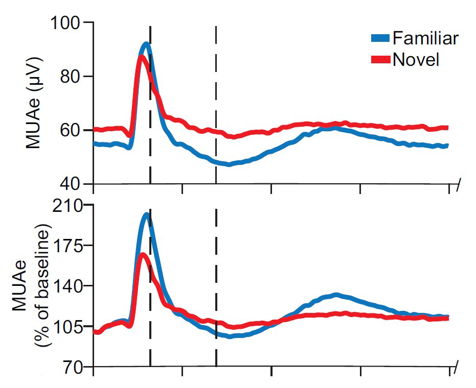 Two graphs each show two lines. Blue for familiar, red for novel. The graphs in different ways both show that for a brief, tall moment the blue line is higher than the red but for most of the following time, the red is higher than the blue.
