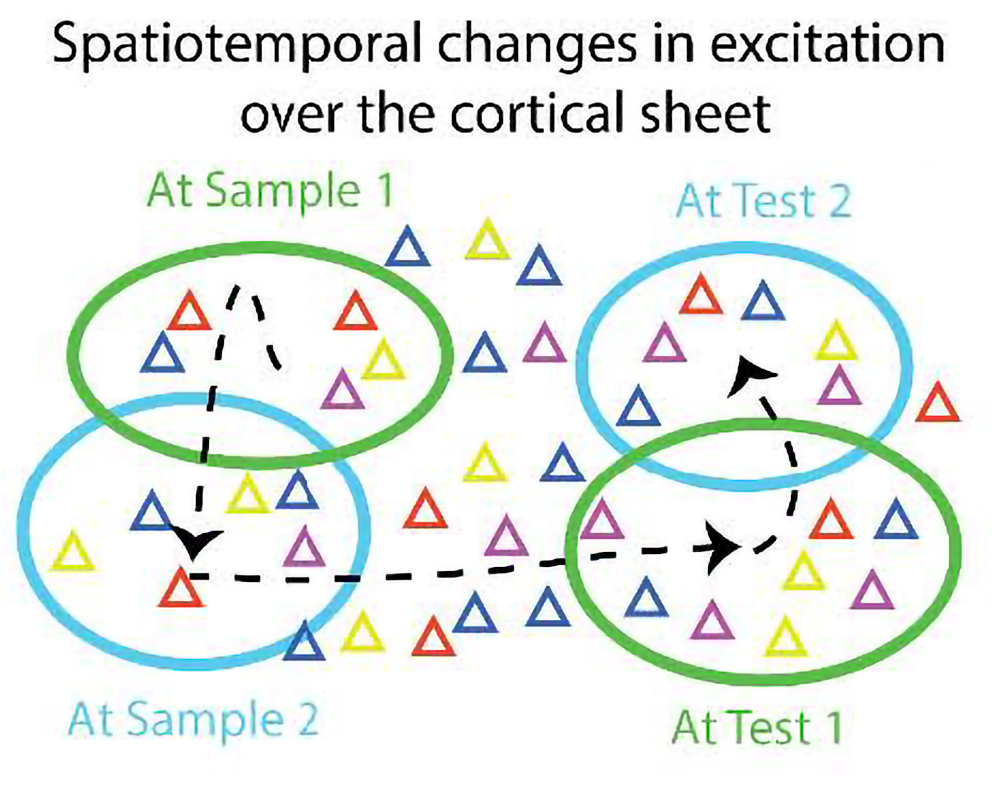 A schematic shows a field of triangles in a few different colors. Many of the tirangles lie within ovals labeled Sample 1 Sample 2 Test 1 and Test 2