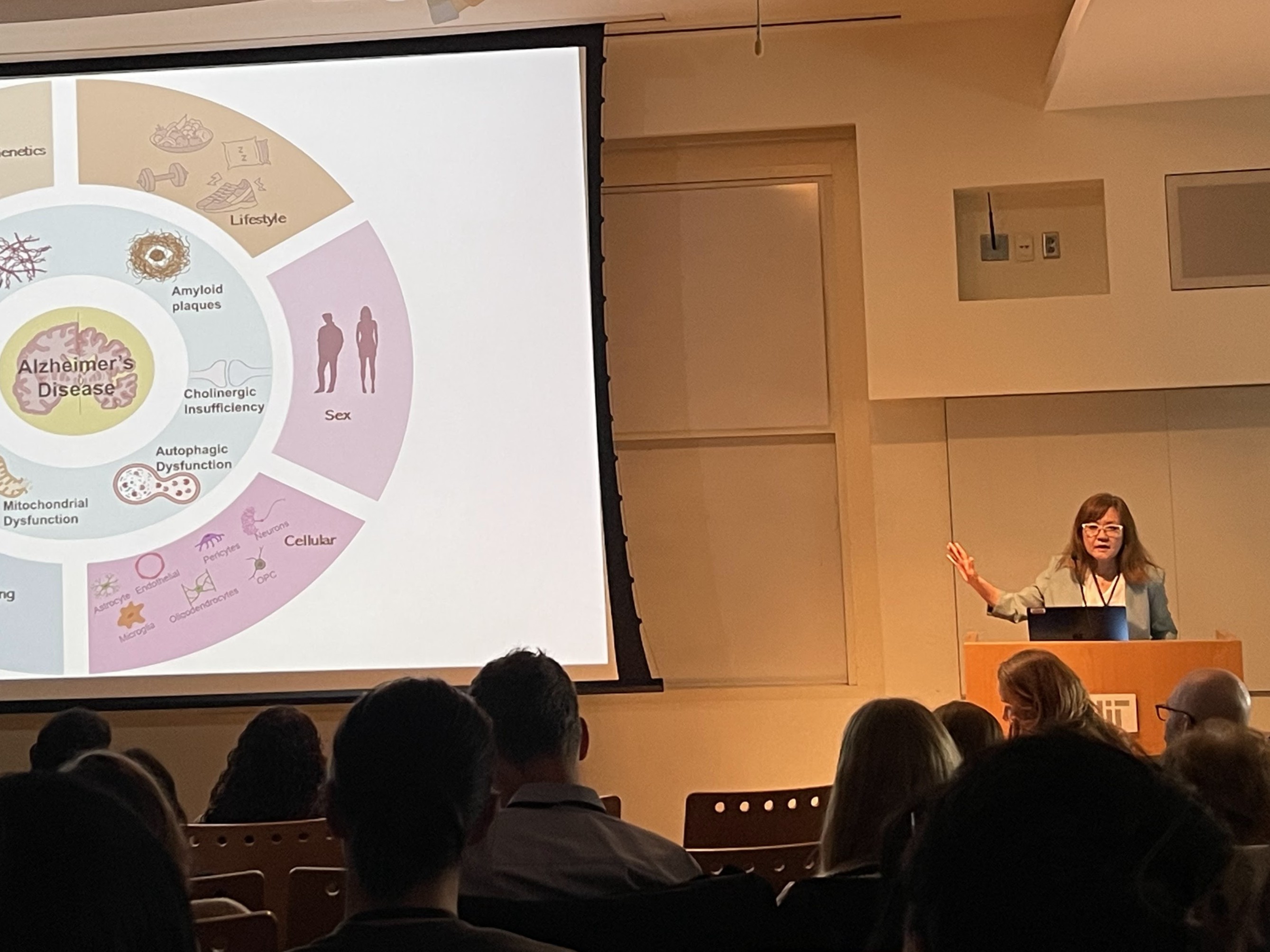 Li-Huei Tsai stands at a podium and presents a slide to an audience in MIT's Building 46