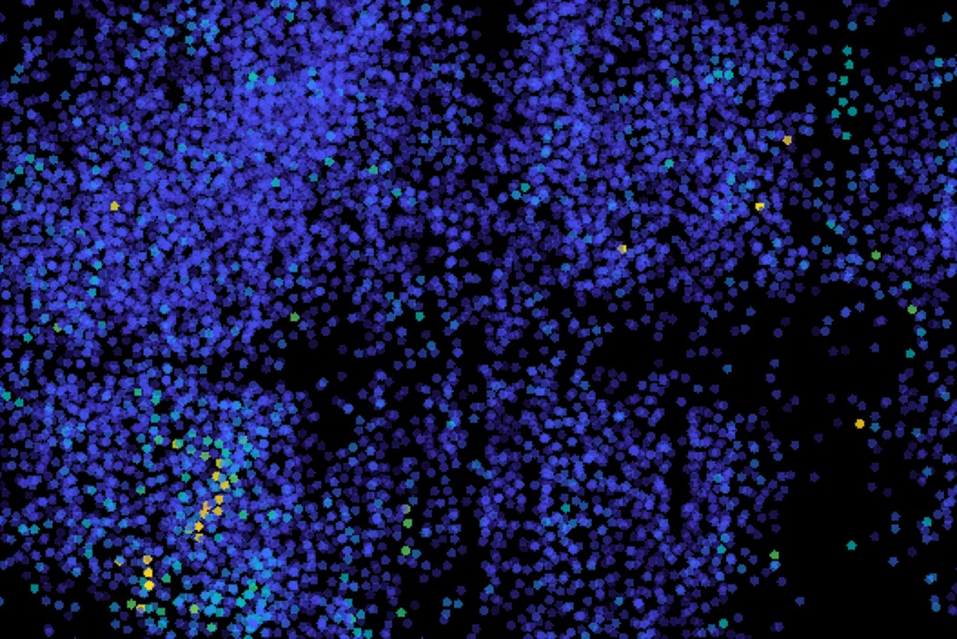 A black background is almost completely overlaid with a sheet of tiny purple dots that are faintly divided horizontally across the cente rof the frame. In the lower left there is a diagonal streak of dots in warmer colors and a few warmer colored dots toward the far right side of the image