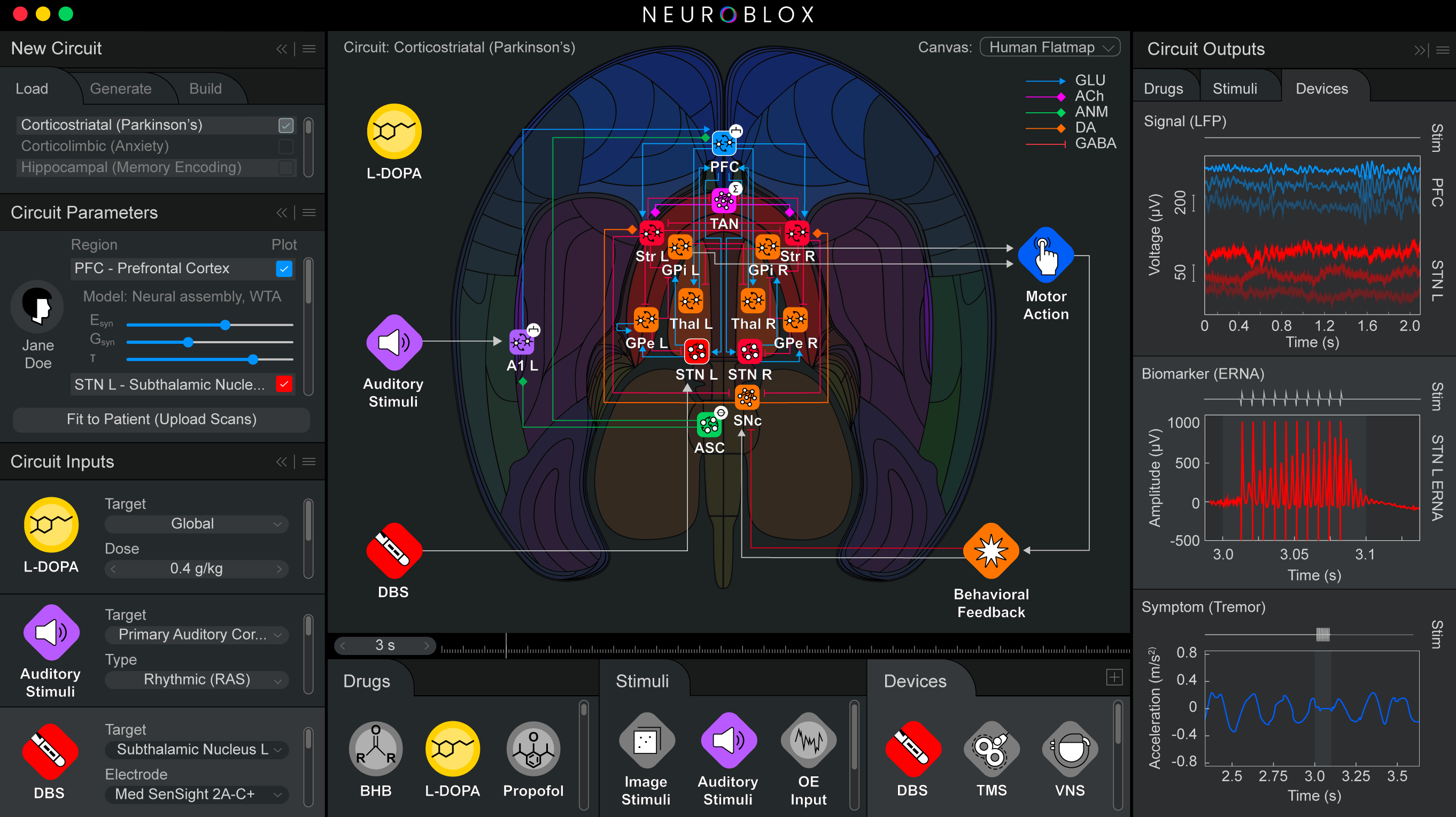 ANeuroblox software screen highlights a color, abstract neural circuit wiring diagram surrounded by various panels indicating neural activity and options for manipulating the circuit