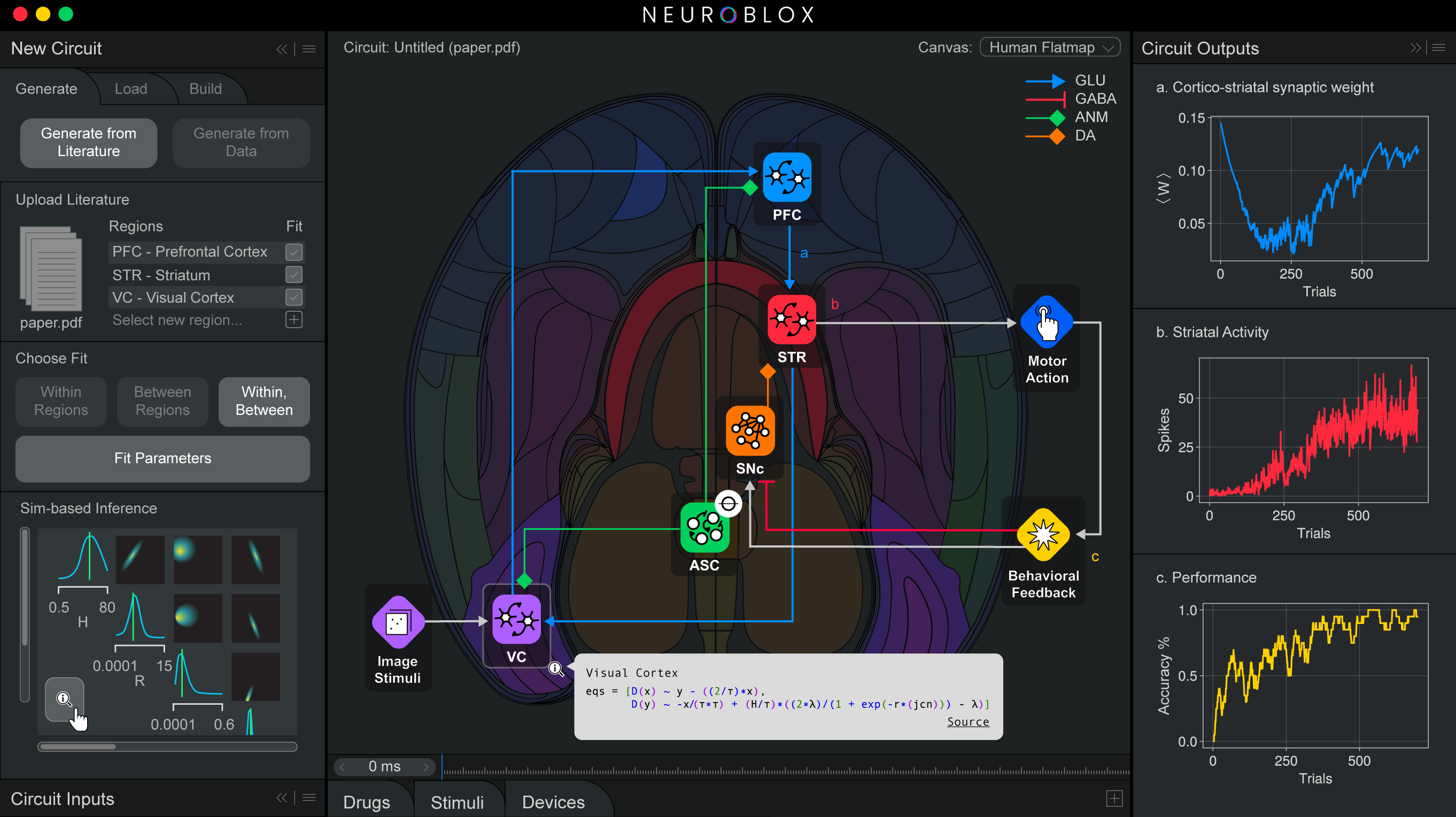 A screenshot from the Neuroblox software shows a neural circuit and indicators of the acvitity in the circuit.