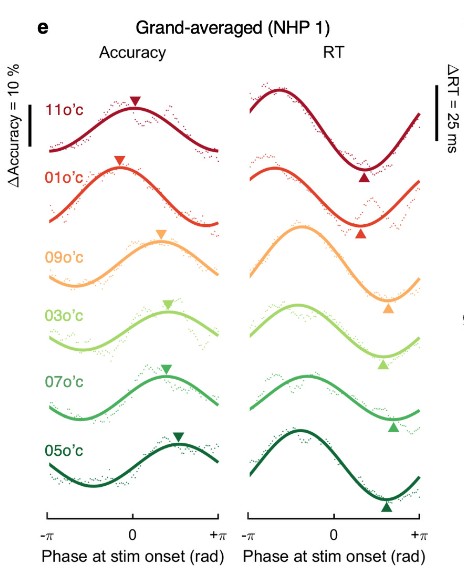 Two columns show simple waves for each of the positions of a square on the screen the animals saw. The waves in column 1 graph how accurate the animals were. The waves in column 2 graph their reaction time. Arrows point out where each metric was optimal for each square's position on the screen.