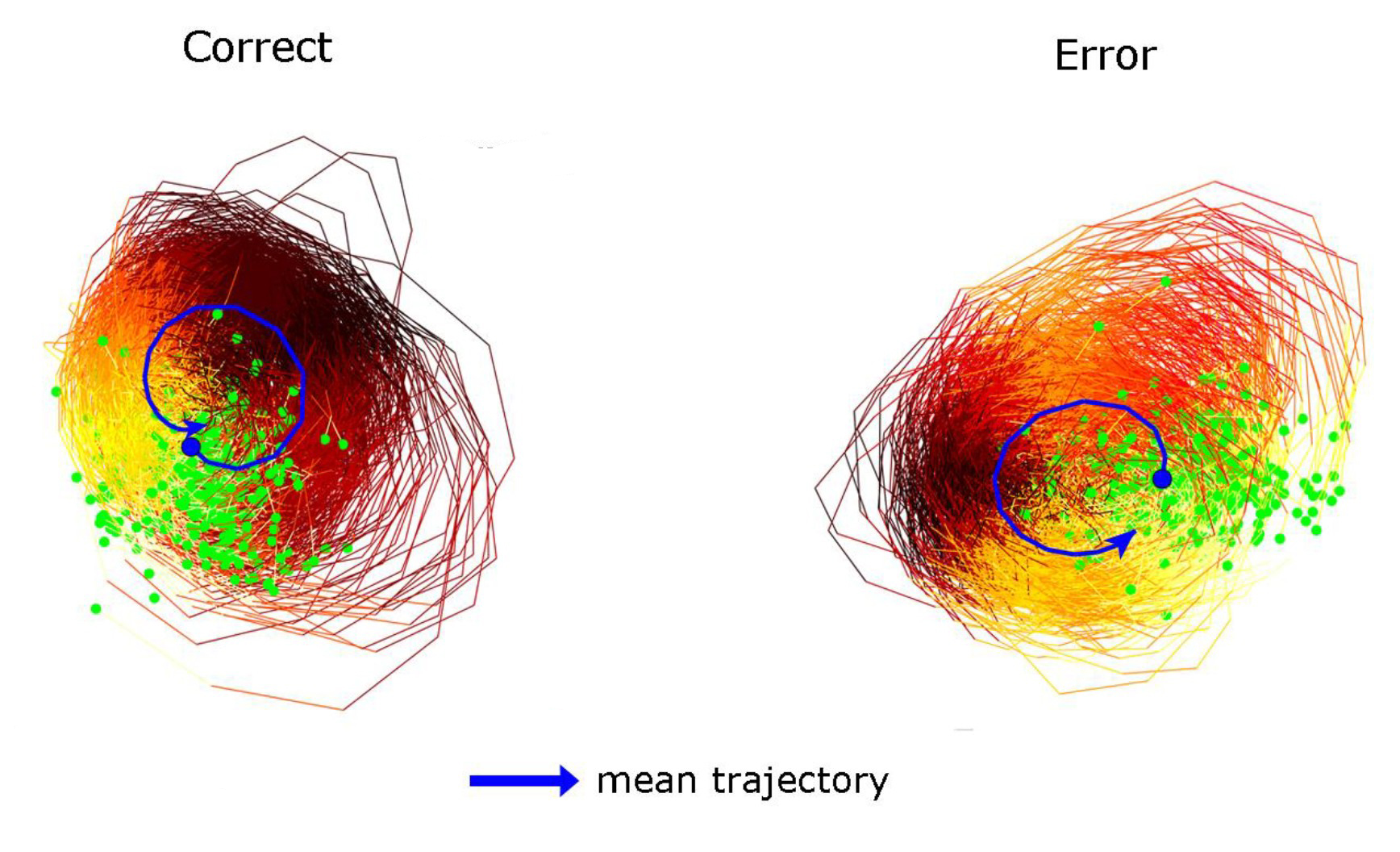 Two messy circles, side by side, are filled in by many individual circular lines colored along a continuum of red, yellow and orange. A single blue curved arrow is superposed on top of each circle. Above the messy circle with a closed blue loop it says "correct." Above the messy circle with the open blue loop it says "error"