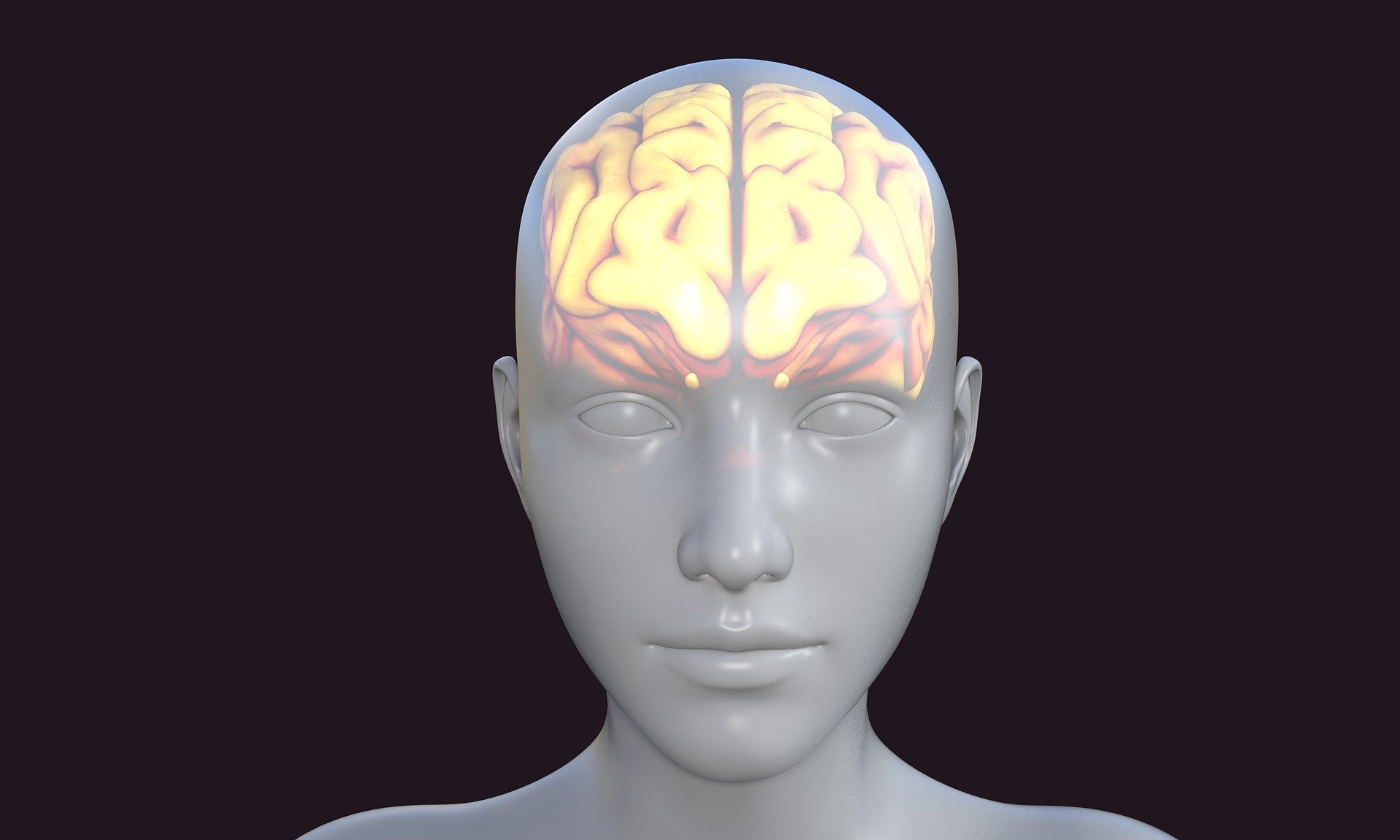 Against a dark blue background there is a 3D cartoon of a head shown face-on. The brain with a clear division between hemispheres glows yellow through the apparently transparent skull