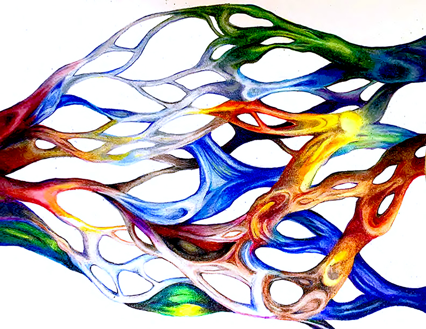 A painting of a rainbow colored network of veins and vessels