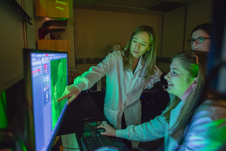 Sara Prescott points to a scientific image on a monitor in a lab as two students look on.