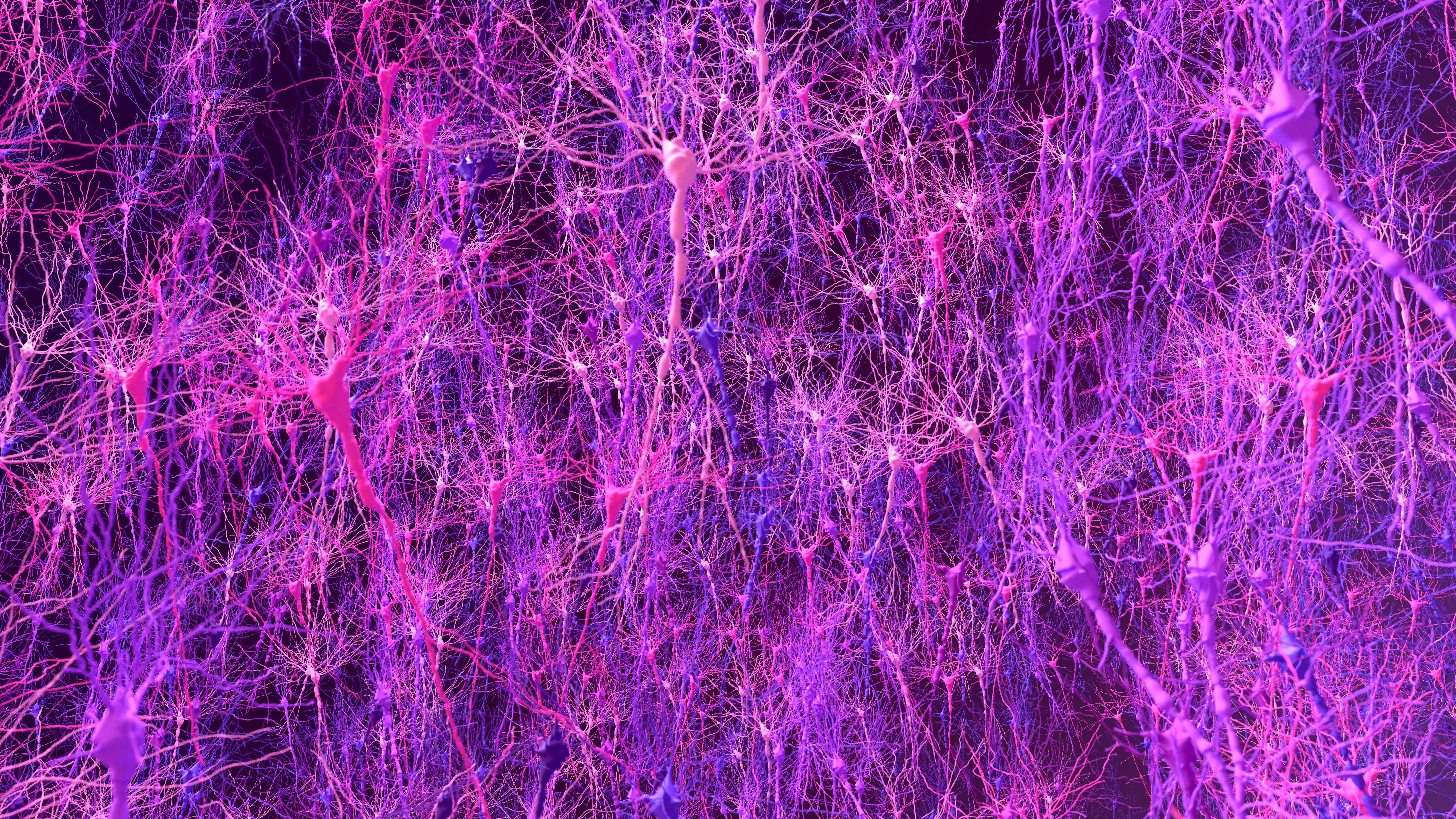 A realistic rendering shows a wide field of neurons densely bunched together