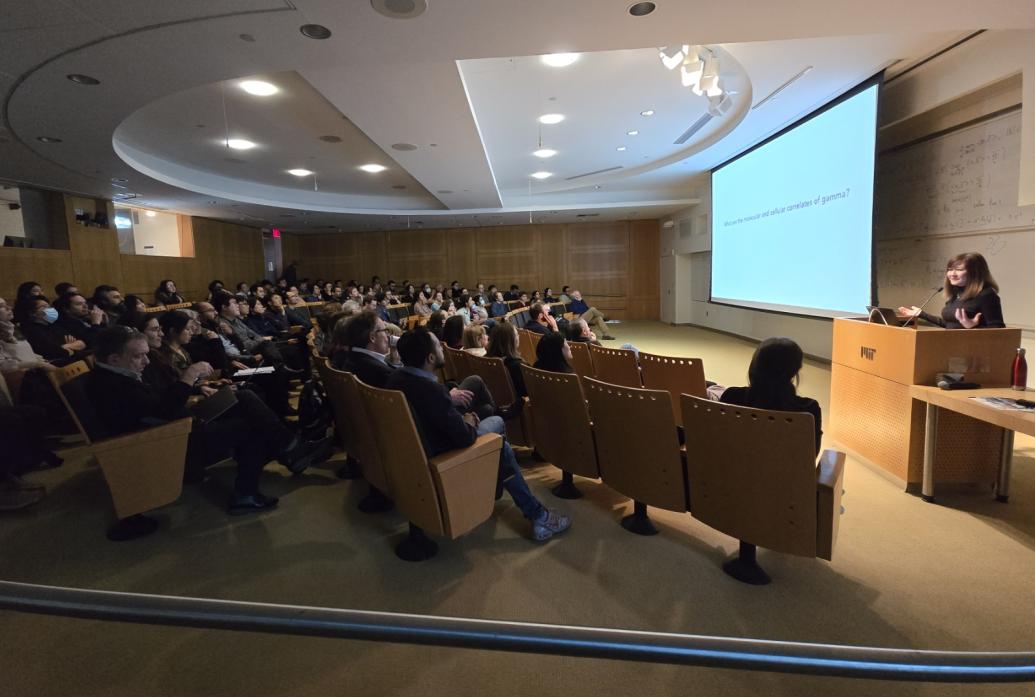 Li-Huei Tsai speaks at a podium in the front of MIT's Singleton auditorium, which full of audience members listening to her talk