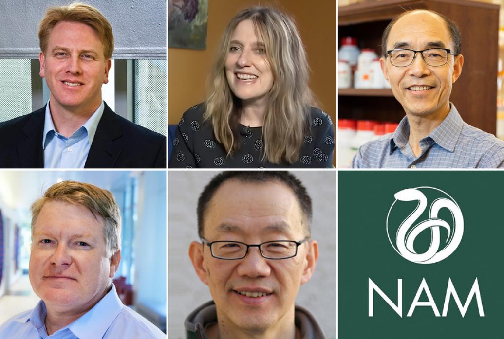 Six panels feature portraits of MIT Faculty members elected to the national academy of medicine. Morgan Sheng is in the bottom center. The NAM logo is in the bottom right