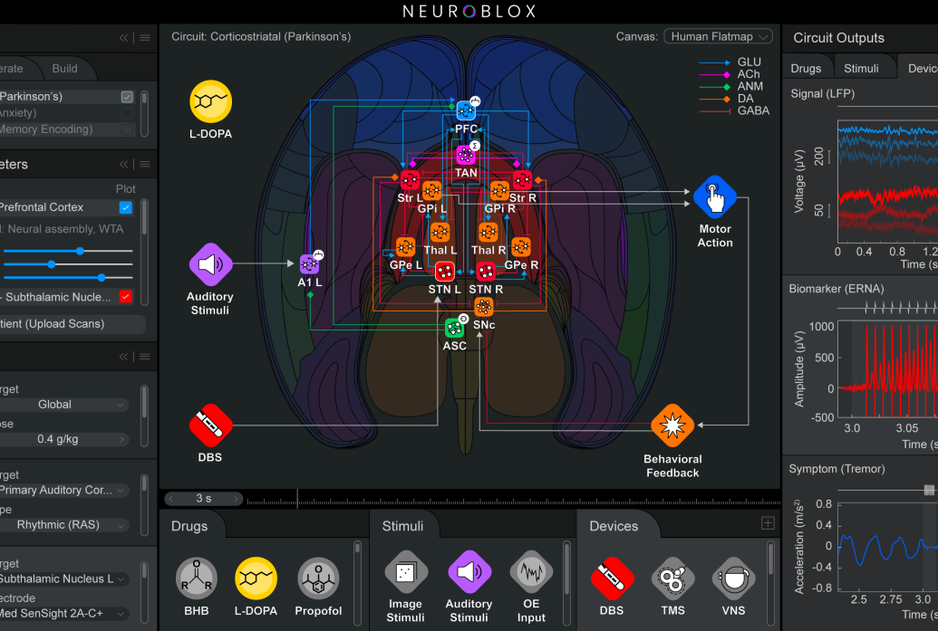ANeuroblox software screen highlights a color, abstract neural circuit wiring diagram surrounded by various panels indicating neural activity and options for manipulating the circuit