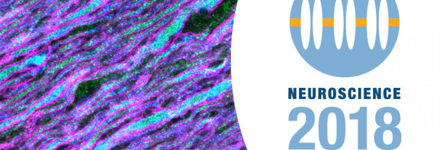 The logo for Neuroscience 2018 sits to the right of bluish stained tissue.