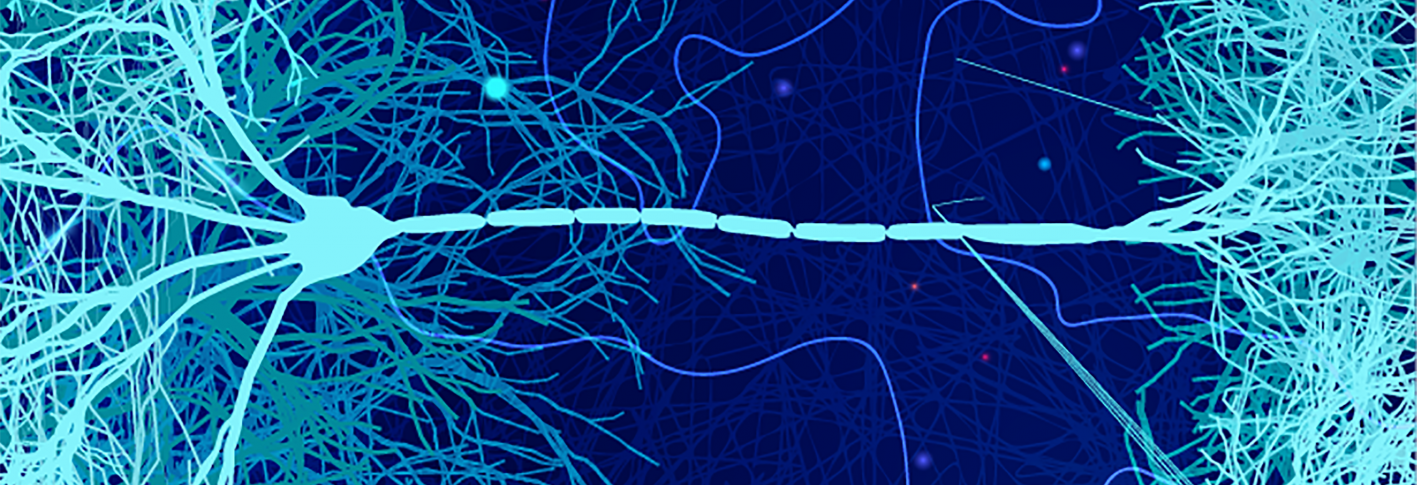 Over a dark blue background, lighter blue neurons stretch across like rungs on a ladder