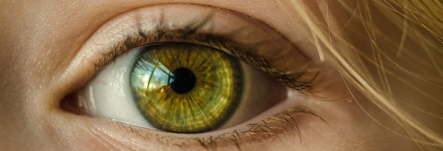 A closeup of a woman's bright green eye