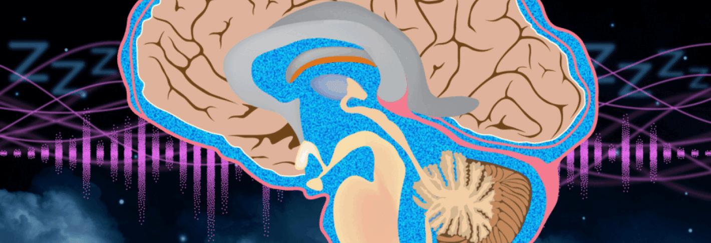 A cartoon cross section of a brain, shown in profile with the front at the left, is in the foreground over a black background that features clouds on the bottom, a wave pattern throught he middle and a series of Zzzs just above the waves.