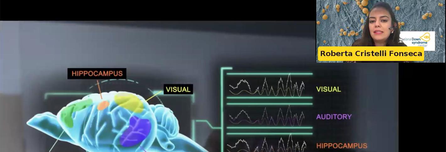 A webinar screenshot depicts a cartoon mouse brain with different regions (audio, visual, prefrontal cortex and hippocampus) in different colors. Next to each are high frequency brain waves. Roberta Fonseca's face is in the upper right corner.