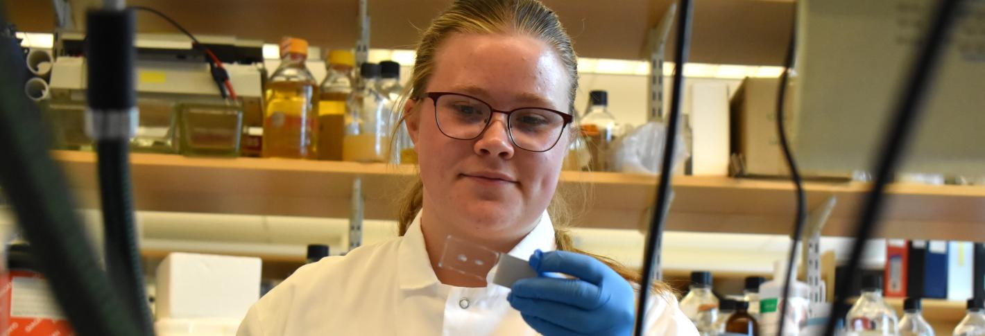 Eli Hanechak stands at a lab bench holding a notebook and looking at a slide. She is wearing a lab coat and blue latex gloves