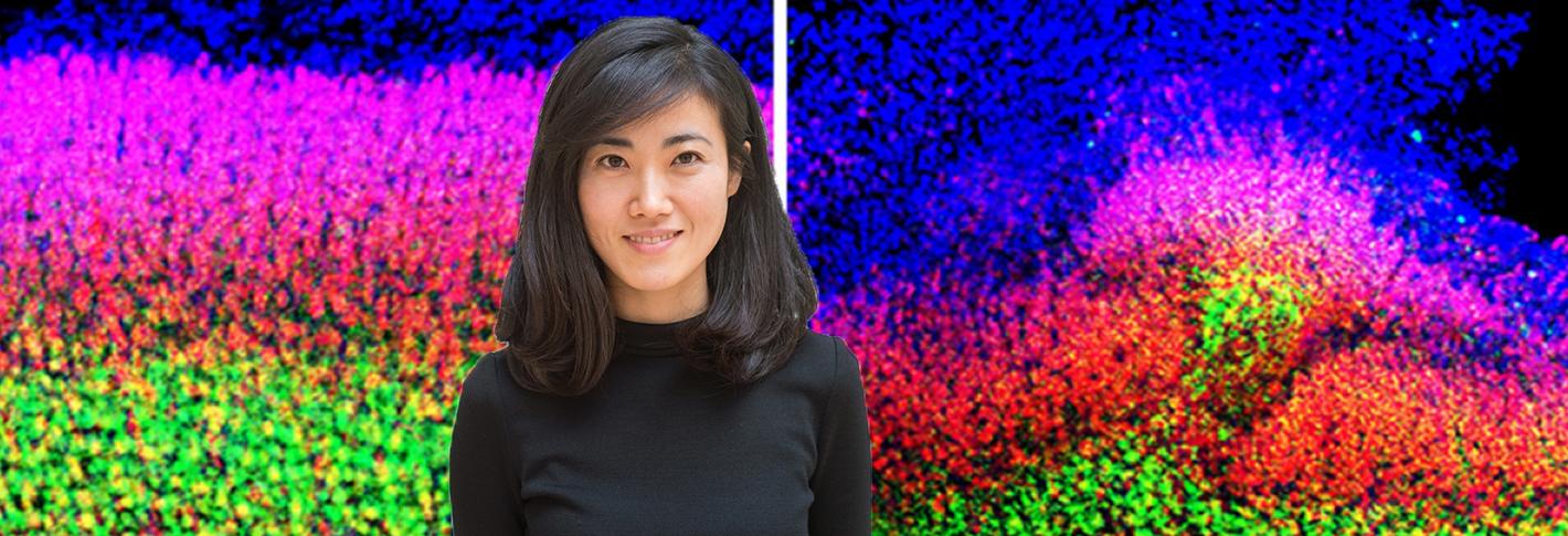 A portrait of Gloria Choi is superposed over brightly stained images of mouse cortex