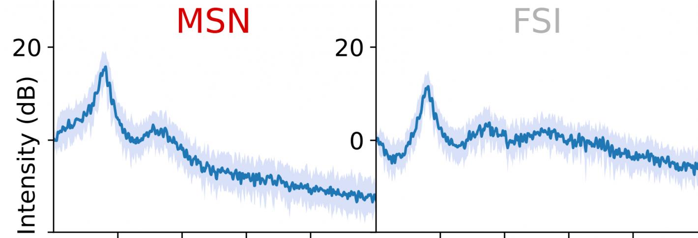 A 2x3 array of graphs. Blue lines wiggle across showing peaks above distinct frequencies.