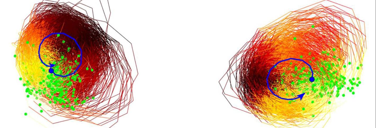 Two messy circles, side by side, are filled in by many individual circular lines colored along a continuum of red, yellow and orange. A single blue curved arrow is superposed on top of each circle. Above the messy circle with a closed blue loop it says "correct." Above the messy circle with the open blue loop it says "error"