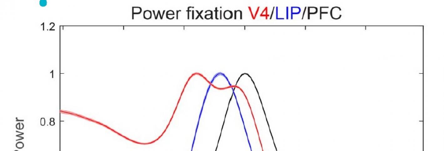 Three bell curve shaped lines on a graph - one red, one blue and one black