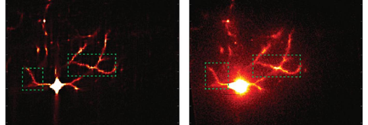 Four panels show a neuron glowing in red and yellow. The top left panel shows a neurn looing pretty sharp. Below that are zoomed in sections also looking detailed. On the right is a neuron that looks hazy. Below that are zoomed in sections that are also clouded.