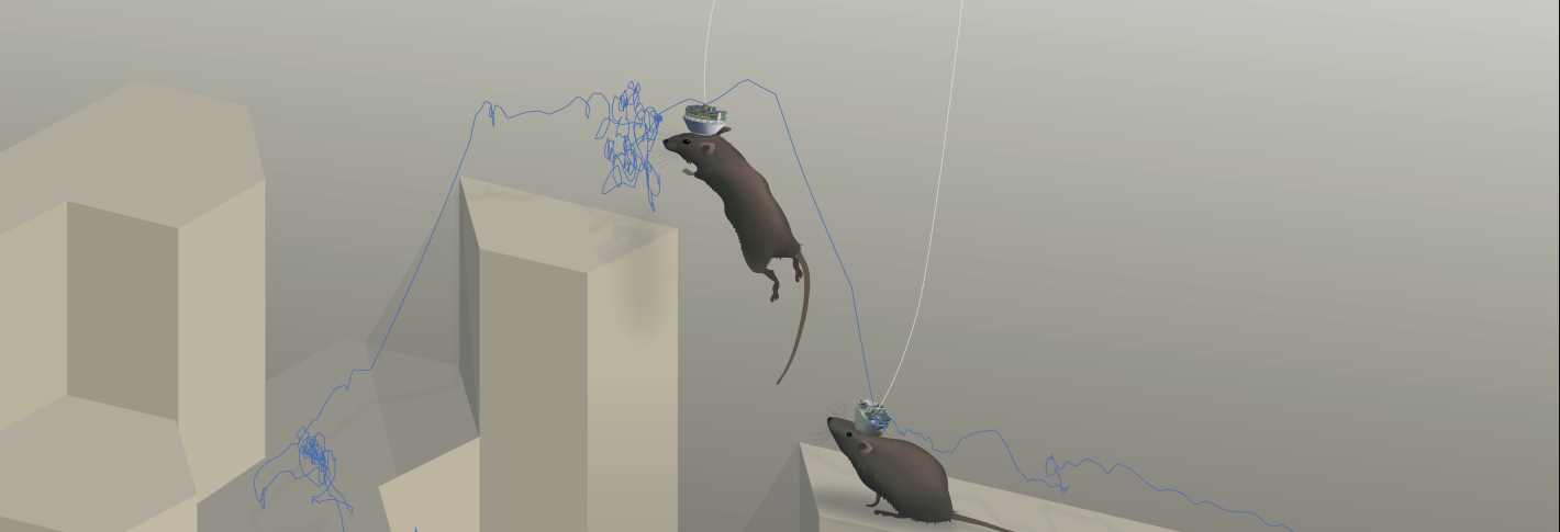 A 3D cartoon of a mouse jumping around on a landscape of white hexagonal pillars. The mouse's trajectory through time is noted with a wiggly blue line. The mouse wears electronics on the back of its head and a small thin wire comes up out of them.