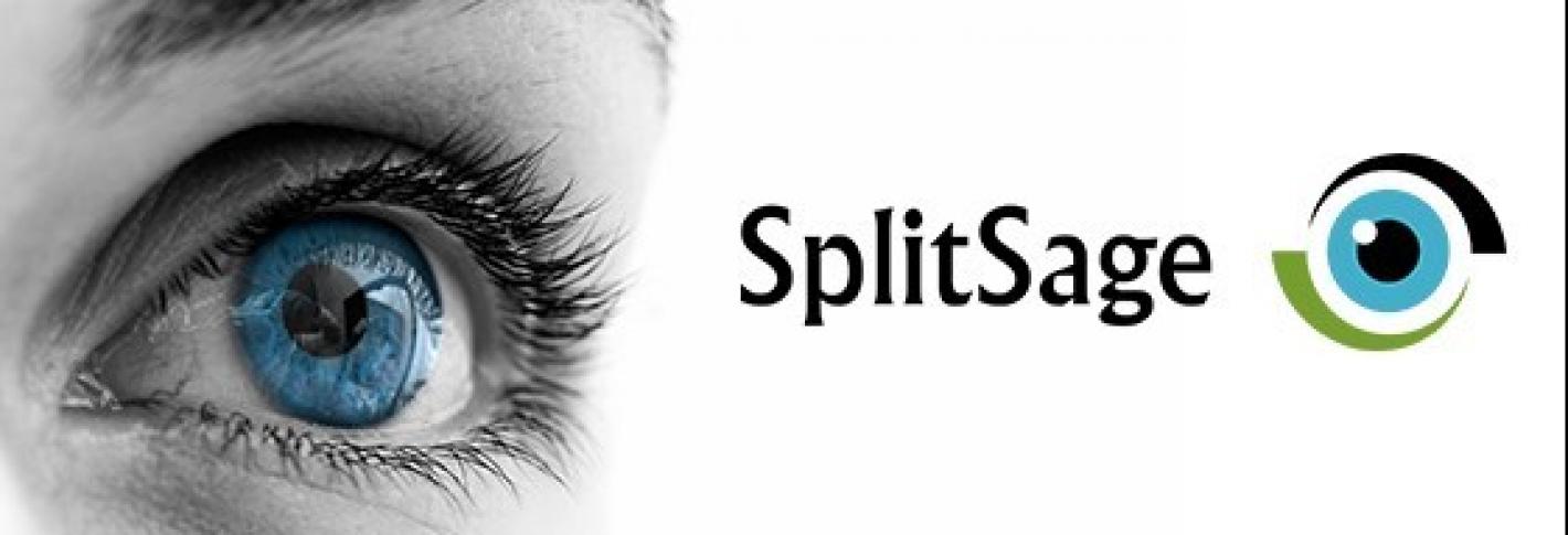 The splitsage logo is paired wih a gazing eye.