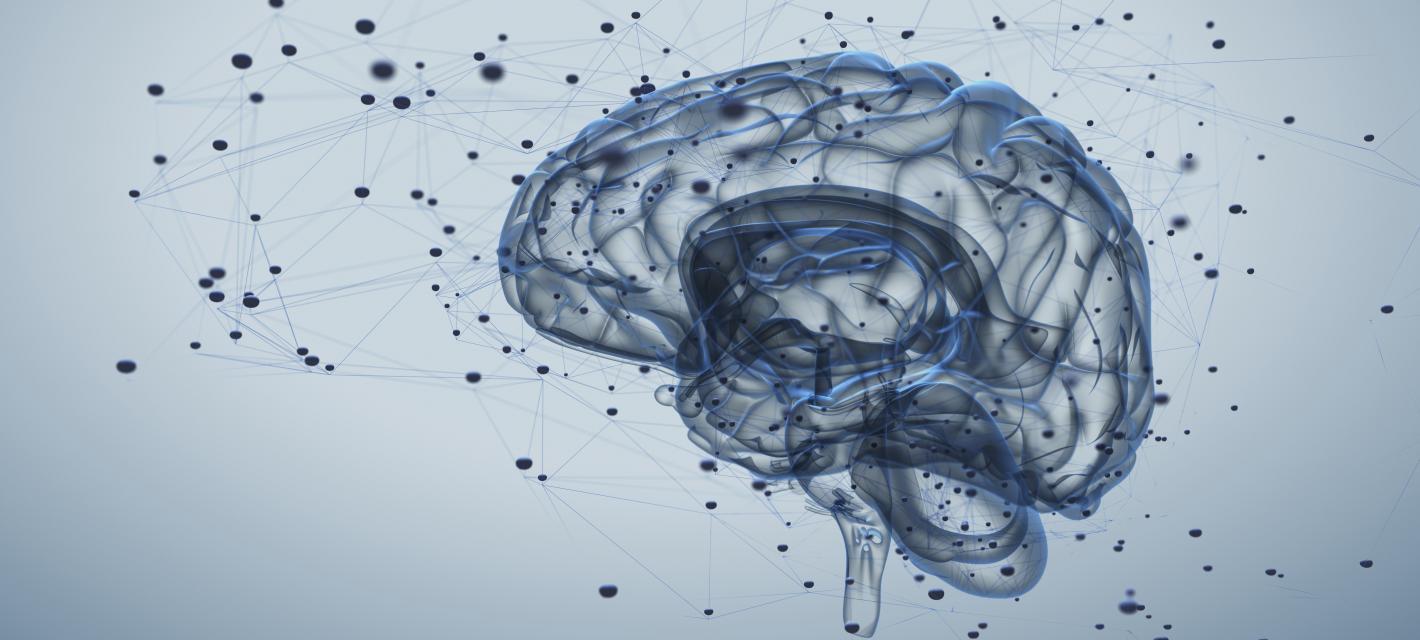 An abstract graphic of a brain and brain networks