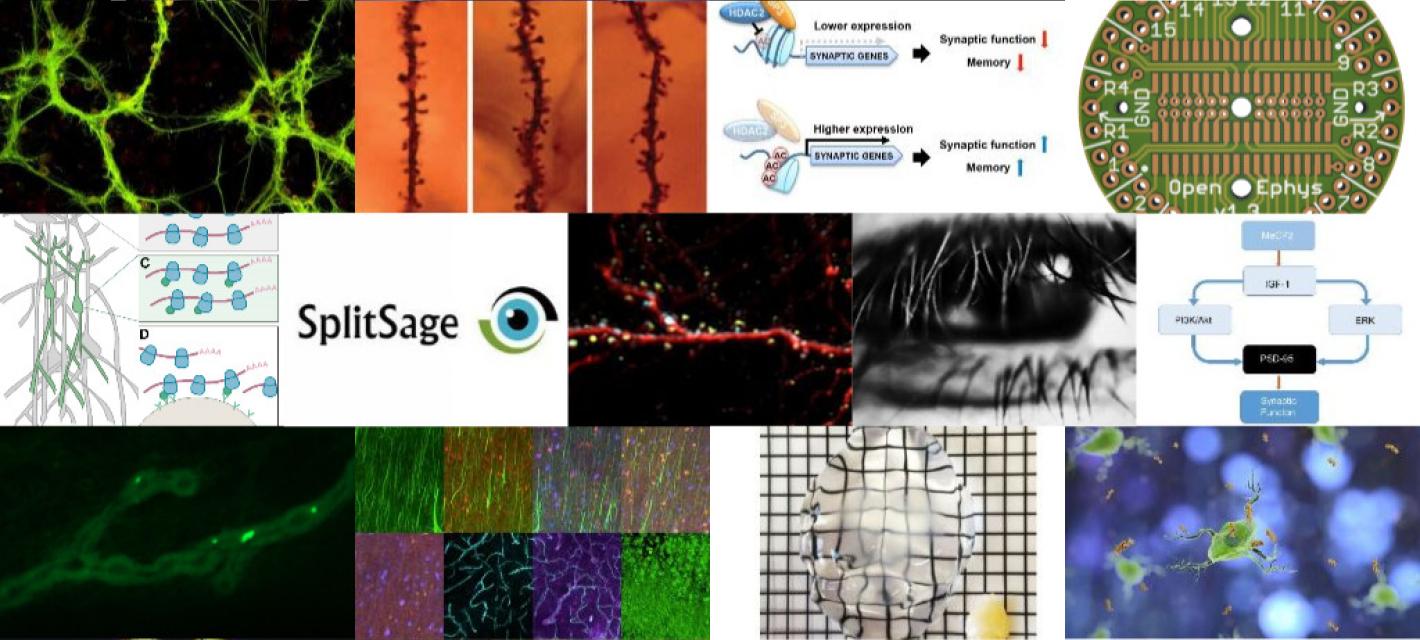 A collage of some of the innovations