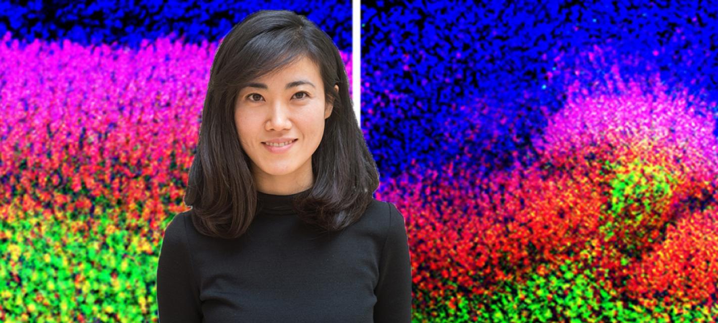 A portrait of Gloria Choi is superposed over brightly stained images of mouse cortex
