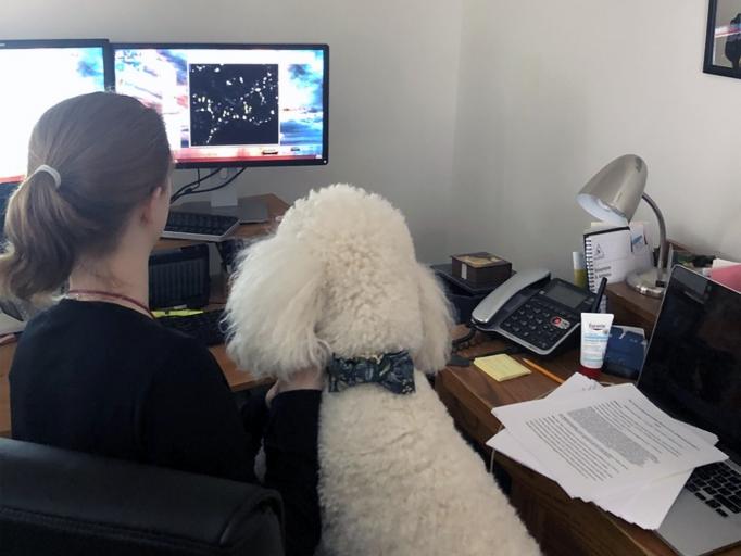 A woman and her white poodle look at a computer screend displaying neurons. We see them from behind.