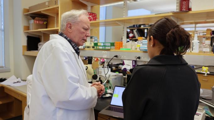 Troy Littleton and MSRP student Elise Siciliano stand at a lab bench discussing research