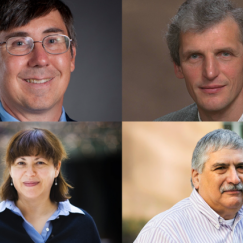 Professors nominated for the AAAS Fellowship
