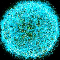 A miBrain stained in different colors looks like a tight tangle of many cells in a thick disk