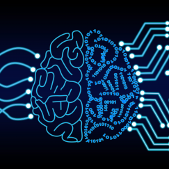 An illustration portrays a brain with a biological left hemisphere and a digital right hemisphere