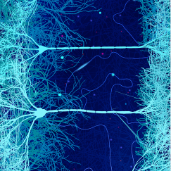 Over a dark blue background, lighter blue neurons stretch across like rungs on a ladder
