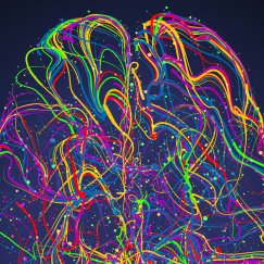 An illustration employs long, colorful squiggly lines and arbitrarily placed small colorful dots to form the image of a brain as if viewed from overhead.