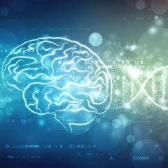 On a blue background there is a white line-art drawing of a brain overlaid on a horizontal-running DNA double helix.