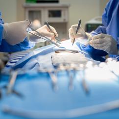 A view of a surgery in progress. Surgeons wearing blue gowns hold a scalpel and scissors just above an opening in the dressing of a patient who is lying on a table. Blurred in the foreground is a tray of other surgical instruments.