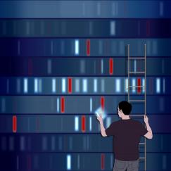 A man on a ladder picks a colored bar off a wall of colored bars. The colored bars represent DNA