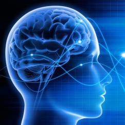 research paper on split brain A blue-hued cartoon shows a transparent head on the left in profile with a brain inside. Big slow waves emanate from marked points in the brain into the space on the right.